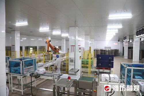 拼经济进行时 以‘智慧大脑’赋能，炒香诸城预制菜，驱动教学设备研发新篇章